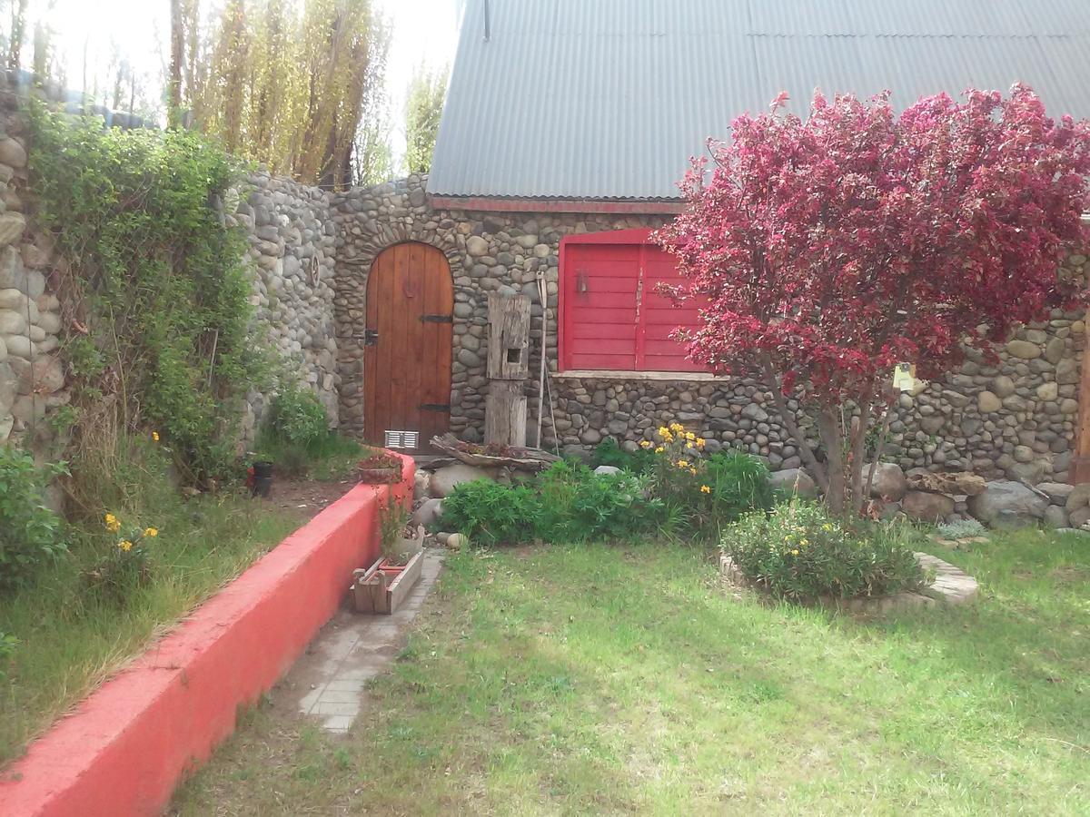 Salamandra * El Calafate