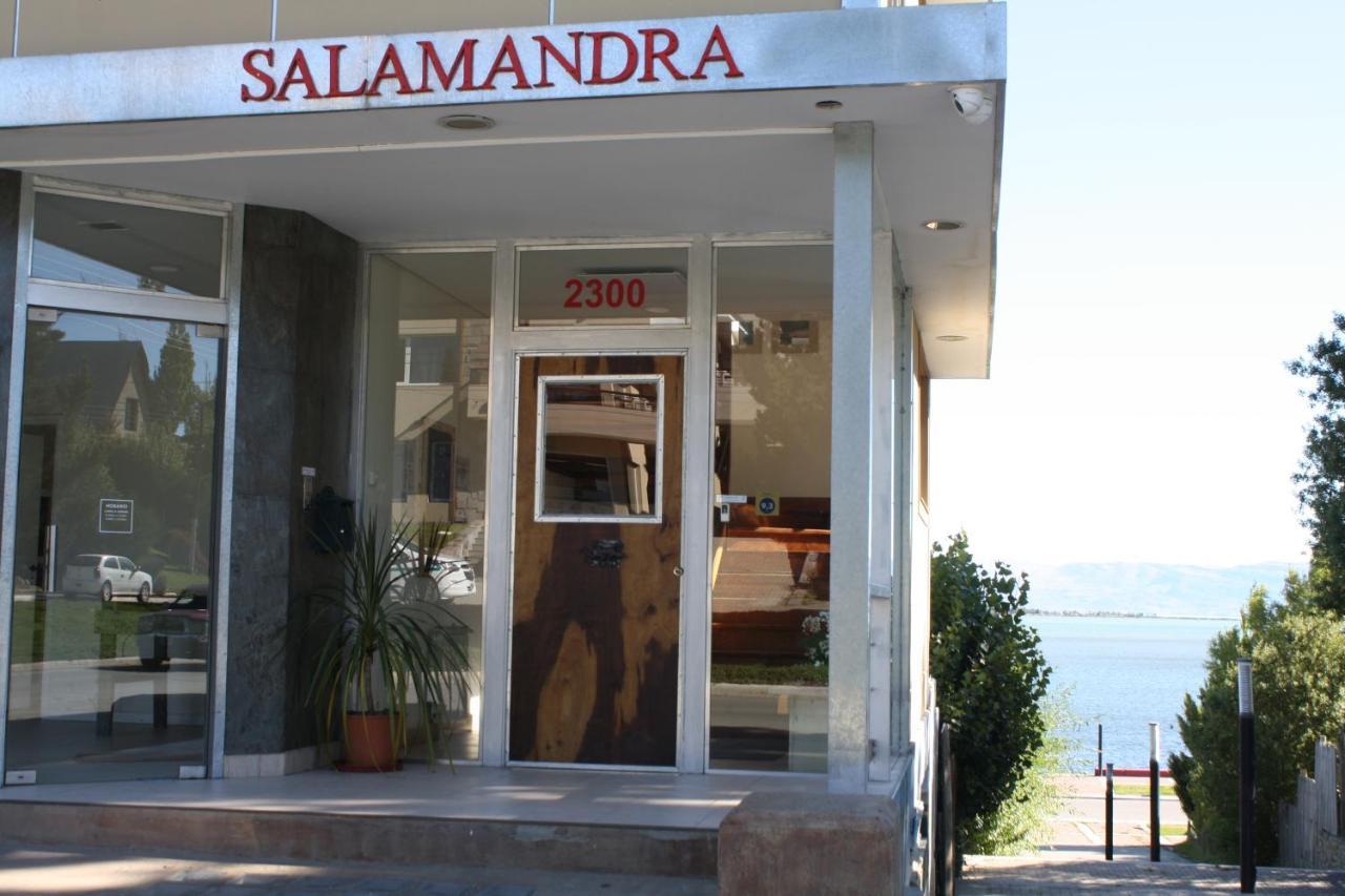 Salamandra El Calafate