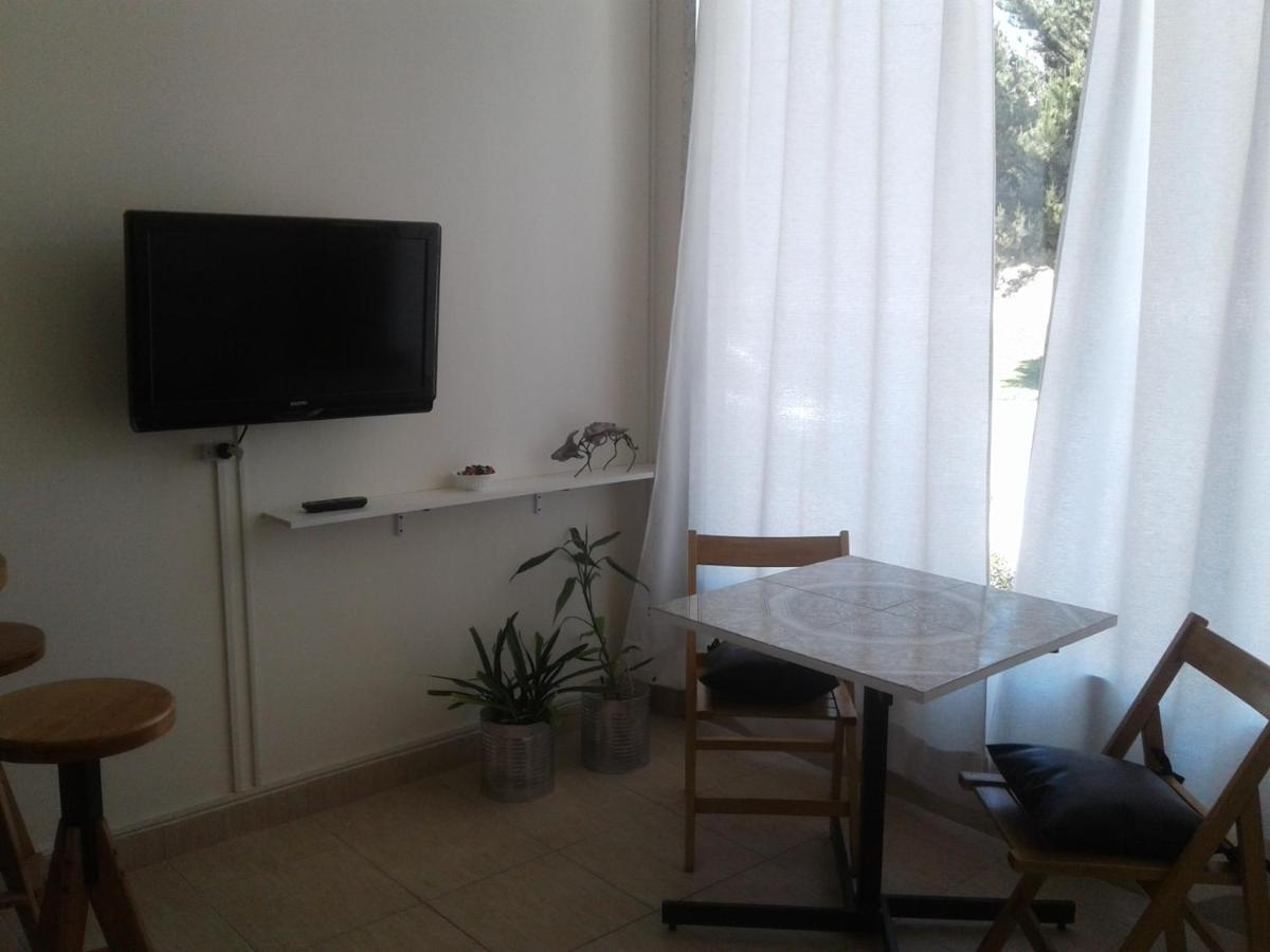 Apartment Salamandra *