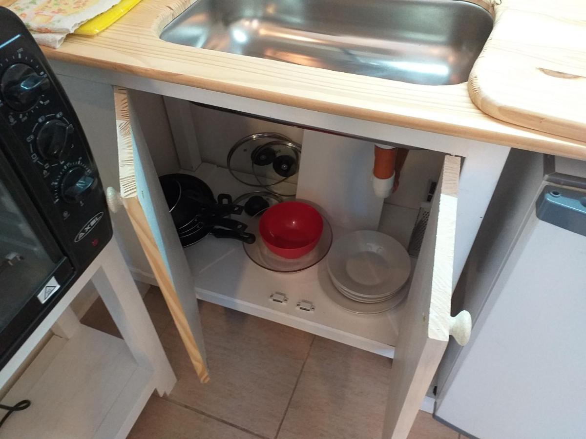 Apartment Salamandra